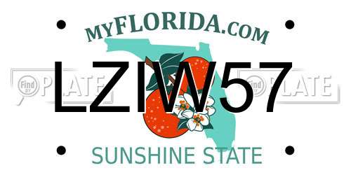 LZIW57 Florida License Plate