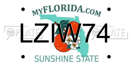 LZIW74 Florida License Plate