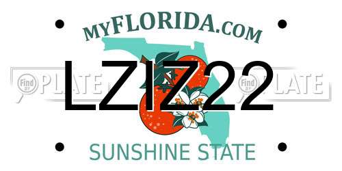 LZIZ22 Florida License Plate