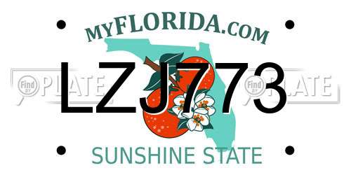LZJ773 Florida License Plate