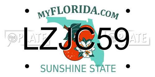 LZJC59 Florida License Plate