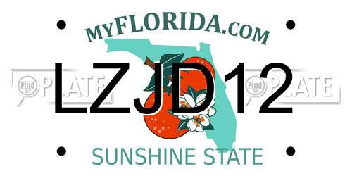 LZJD12 Florida License Plate