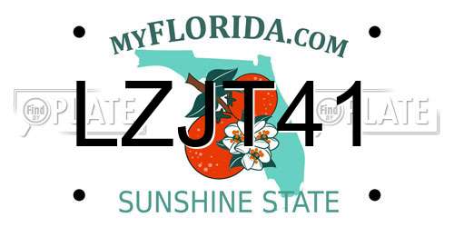 LZJT41 Florida License Plate