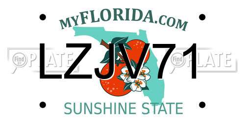 LZJV71 Florida License Plate