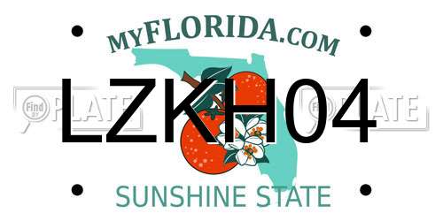 LZKH04 Florida License Plate