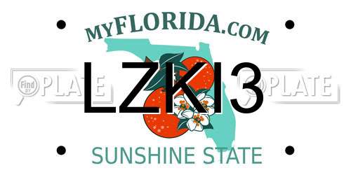 LZKI3 Florida License Plate