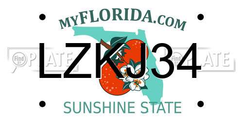 LZKJ34 Florida License Plate