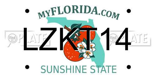 LZKT14 Florida License Plate
