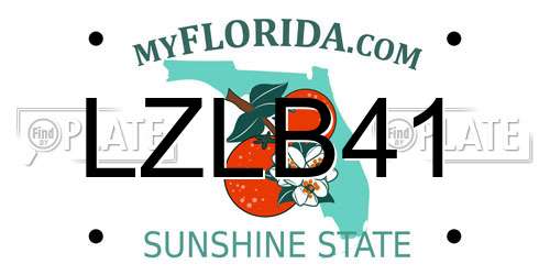 LZLB41 Florida License Plate