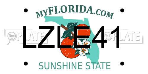 LZLE41 Florida License Plate