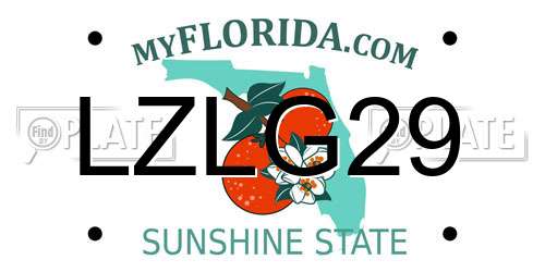 LZLG29 Florida License Plate