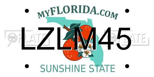LZLM45 Florida License Plate