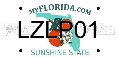 LZLP01 Florida License Plate
