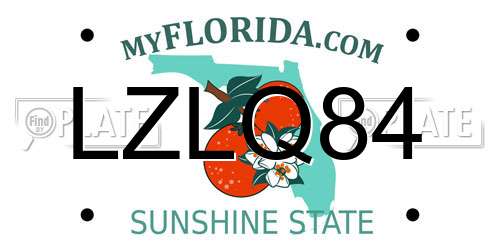 LZLQ84 Florida License Plate