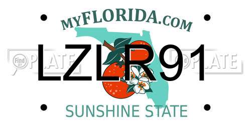 LZLR91 Florida License Plate