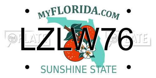 LZLW76 Florida License Plate