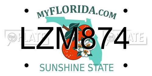 LZM874 Florida License Plate