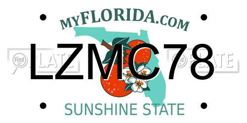 LZMC78 Florida License Plate