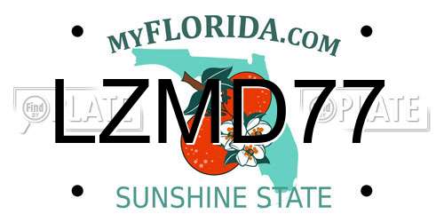 LZMD77 Florida License Plate
