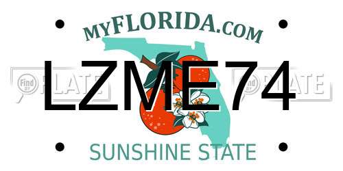 LZME74 Florida License Plate
