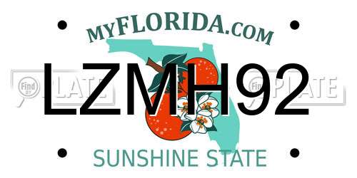 LZMH92 Florida License Plate