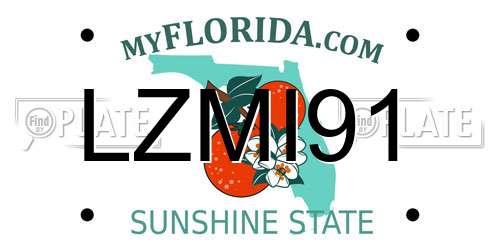 LZMI91 Florida License Plate