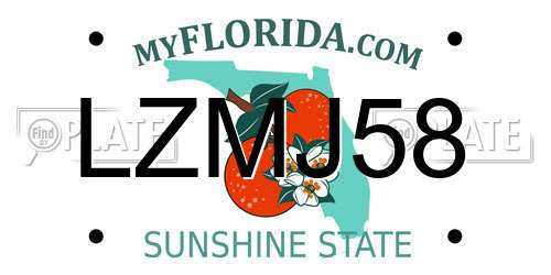 LZMJ58 Florida License Plate