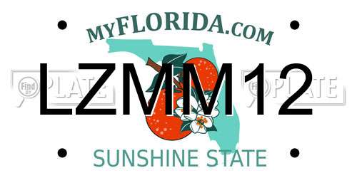 LZMM12 Florida License Plate