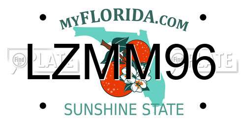 LZMM96 Florida License Plate