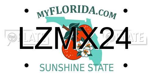 LZMX24 Florida License Plate