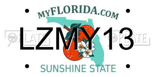 LZMY13 Florida License Plate