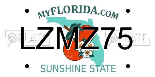 LZMZ75 Florida License Plate