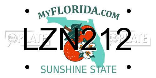 LZN212 Florida License Plate
