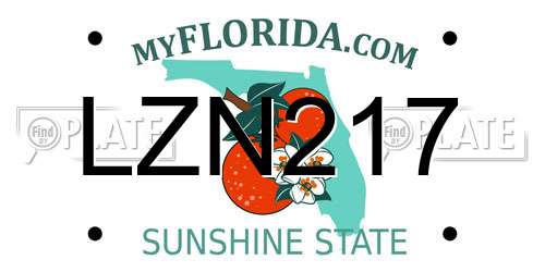 LZN217 Florida License Plate