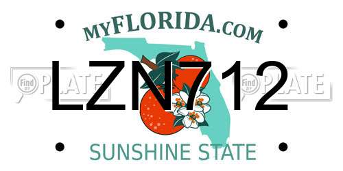 LZN712 Florida License Plate