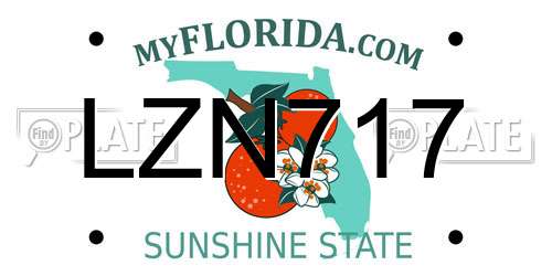 LZN717 Florida License Plate