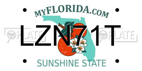 LZN71T Florida License Plate
