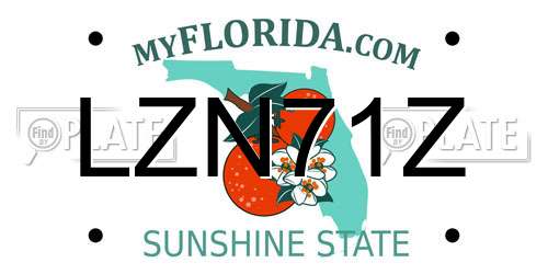 LZN71Z Florida License Plate