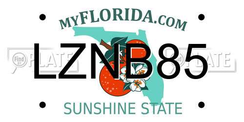 LZNB85 Florida License Plate