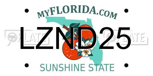 LZND25 Florida License Plate