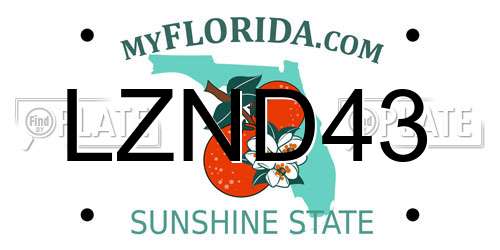 LZND43 Florida License Plate