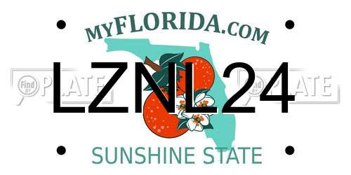 LZNL24 Florida License Plate