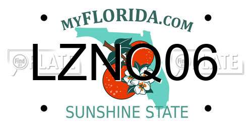 LZNQ06 Florida License Plate