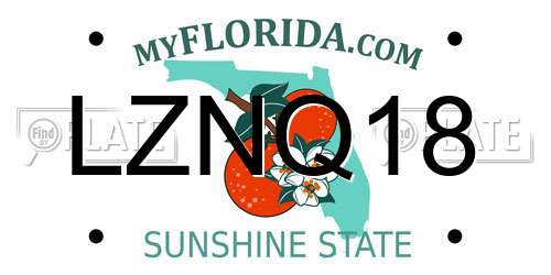 LZNQ18 Florida License Plate