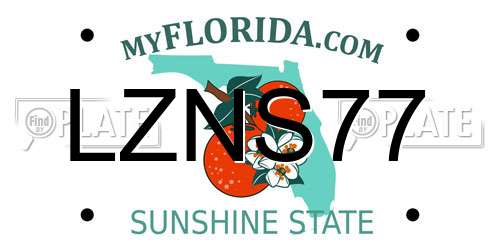 LZNS77 Florida License Plate