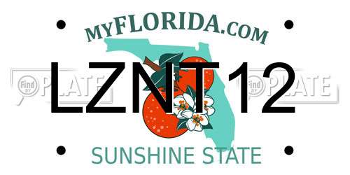 LZNT12 Florida License Plate