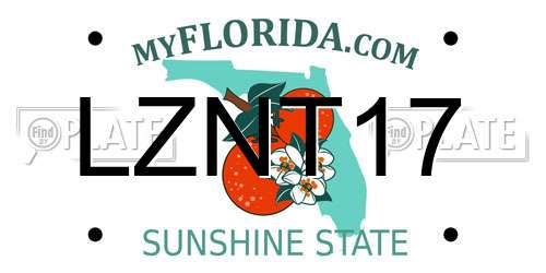 LZNT17 Florida License Plate