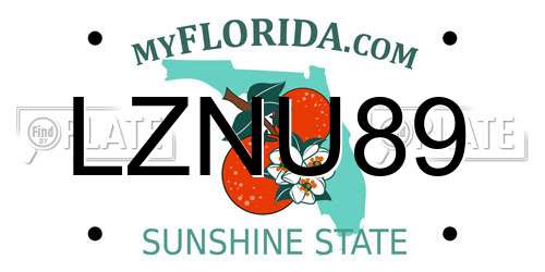 LZNU89 Florida License Plate