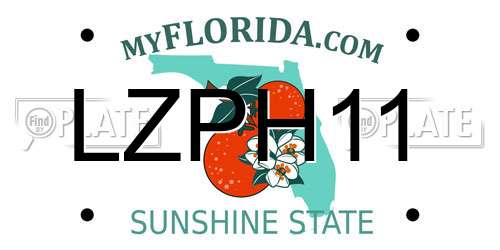 LZPH11 Florida License Plate