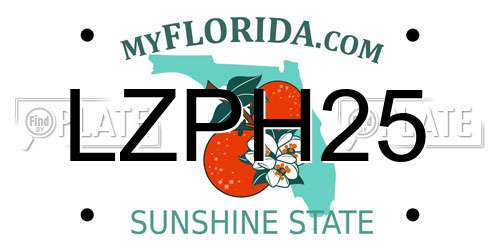 LZPH25 Florida License Plate
